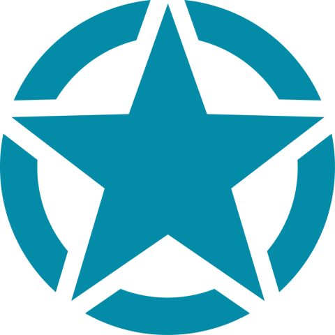 U.S. Army star emblem